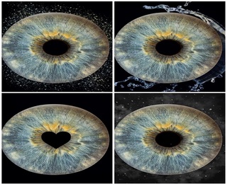 Special and meaningful gift with Iris photography in Pleven - three irises in a frame + еffect 