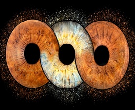 Специален и значим подарък с Ирисова фотография в Плевен - три ириса в рамка