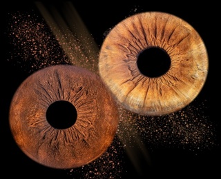 Special and meaningful gift with Iris photography in Pleven - two irises in a frame