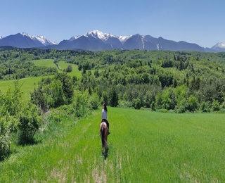 Разходка с кон – в такт с природата на Боровец за четирима