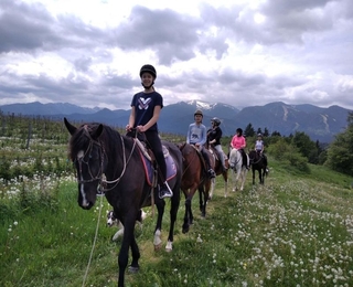 Разходка с кон – в такт с природата на Боровец за двама