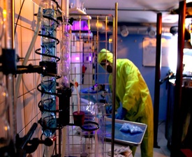 Ескейп стая Breaking Bad за петима