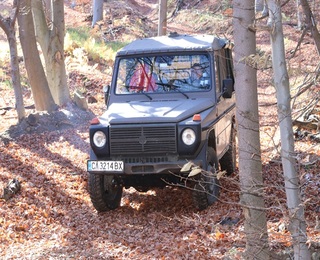 В дома на дивите животни с Горско сафари за двама край Ихтиман 