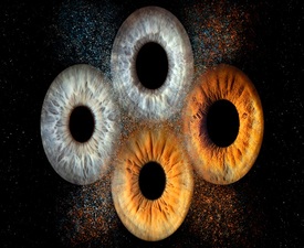  Ирисова фотография в Стара Загора – изкуство, скрито в очите - Заснемане на четири ириса в рамка