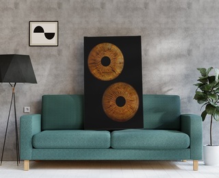 Превърнете вашите очи в уникална картина с ирисова фотография във Варна - заснемане на два ириса в рамка