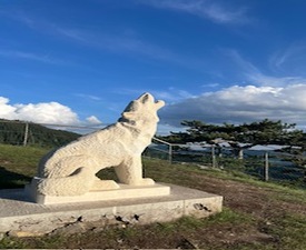 Разходка с джип Land Rover Discovery в Родопите - разходка до Вълчи Камък