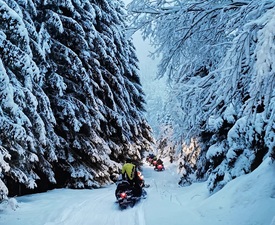 Екстремна зимна приказка „Разходка с моторна шейна край Пампорово“ - за двама на една шейна
