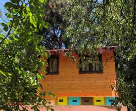 Станете част от кошера с „Пчелна стая“ - за двама