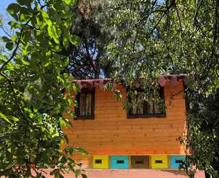 Станете част от кошера с „Пчелна стая“ - за двама