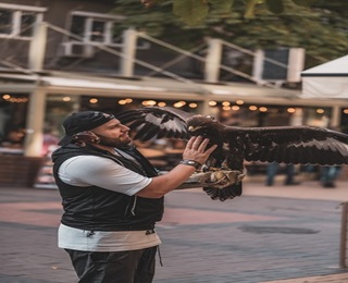 Индивидуално авиошоу с грабливи птици за двама