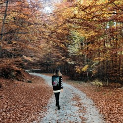 Нестандартен подарък – тайното пътуване - из забравените села на Родопите Нестандартен подарък – тайното пътуване - из забравените села на Родопите