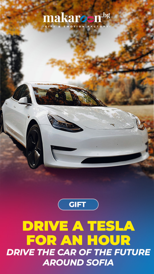 Drive a Tesla for one hour from makaroon