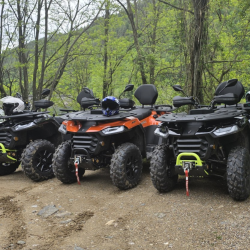 В горите на Златоград: 1-часова офроуд разходка с АТВ за един човек В горите на Златоград: 1-часова офроуд разходка с АТВ за един човек