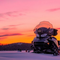 Адреналин в планината: Моторна шейна на Боровец Адреналин в планината: Моторна шейна на Боровец