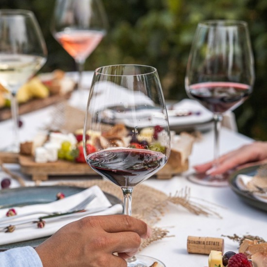 Винена дегустация за двама в Bononia Estate Winery & Resort от Макароон