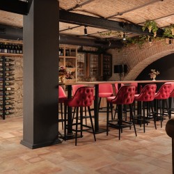 Винена дегустация за двама в Bononia Estate Winery & Resort