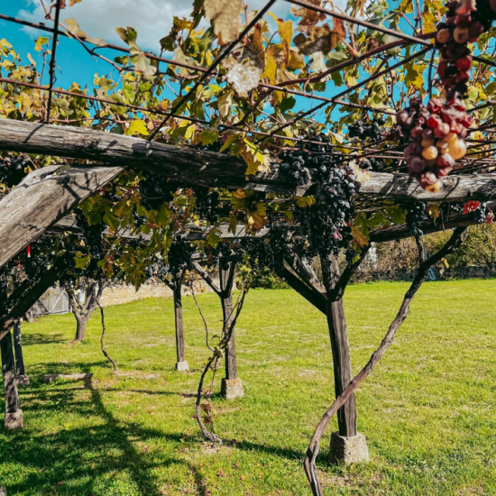Едно автентично приключение с тематика „Възраждането на едно българско село“ от Makaroon