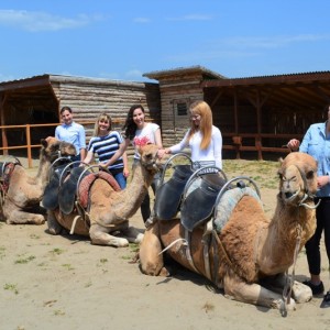С усещане за Египет: Езда на камила за двама в Камел парк, Слънчев бряг
