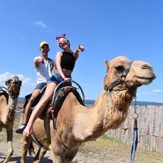 Прекарайте един незабравим приключенски ден с усещане за Египет с Езда на камила за двама в Камел парк, Слънчев бряг от Makaroon Прекарайте един незабравим приключенски ден с усещане за Египет с Езда на камила за двама в Камел парк, Слънчев бряг от Makaroon