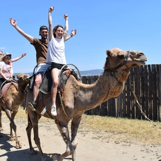 Spend an unforgettable adventurous day with a feeling of Egypt with a Camel Ride for Two + 2 children in Camel Park, Sunny Beach from Makaroon