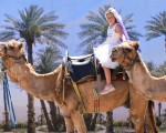 Прекарайте един незабравим приключенски ден с усещане за Египет с Езда на камила за двама в Камел парк, Слънчев бряг от Makaroon Прекарайте един незабравим приключенски ден с усещане за Египет с Езда на камила за двама в Камел парк, Слънчев бряг от Makaroon