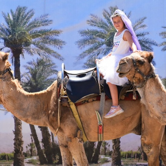 Прекарайте един незабравим приключенски ден с усещане за Египет с Езда на камила за двама в Камел парк, Слънчев бряг от Makaroon Прекарайте един незабравим приключенски ден с усещане за Египет с Езда на камила за двама в Камел парк, Слънчев бряг от Makaroon