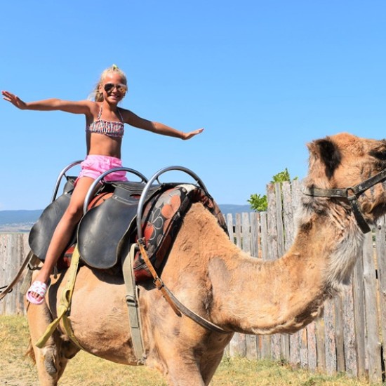 Spend an unforgettable adventurous day with a feeling of Egypt with a Camel Ride for Two + 2 children in Camel Park, Sunny Beach from Makaroon