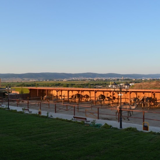 Прекарайте един незабравим приключенски ден с усещане за Египет с Езда на камила за двама в Камел парк, Слънчев бряг от Makaroon Прекарайте един незабравим приключенски ден с усещане за Египет с Езда на камила за двама в Камел парк, Слънчев бряг от Makaroon