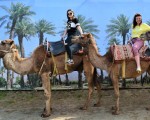 Прекарайте един незабравим приключенски ден с усещане за Египет с Езда на камила за двама в Камел парк, Слънчев бряг от Makaroon Прекарайте един незабравим приключенски ден с усещане за Египет с Езда на камила за двама в Камел парк, Слънчев бряг от Makaroon