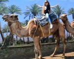 Прекарайте един незабравим приключенски ден с усещане за Египет с Езда на камила за двама в Камел парк, Слънчев бряг от Makaroon Прекарайте един незабравим приключенски ден с усещане за Египет с Езда на камила за двама в Камел парк, Слънчев бряг от Makaroon