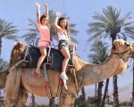 Прекарайте един незабравим приключенски ден с усещане за Египет с Езда на камила за двама в Камел парк, Слънчев бряг от Makaroon Прекарайте един незабравим приключенски ден с усещане за Египет с Езда на камила за двама в Камел парк, Слънчев бряг от Makaroon