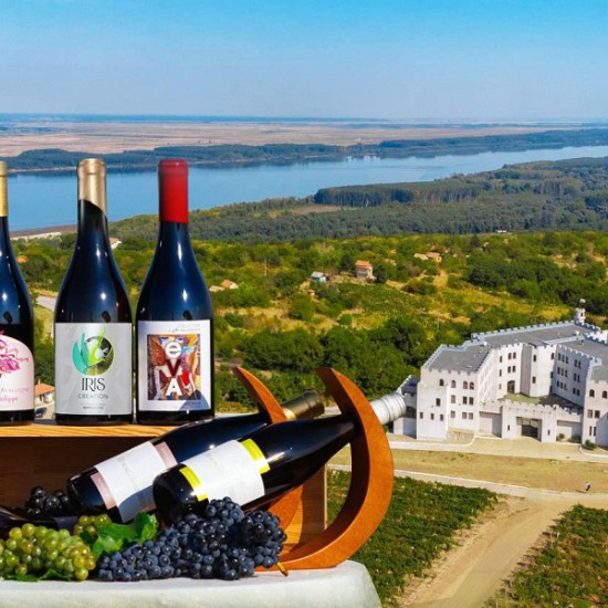 Винена дегустация в Шато Бургозоне за двама - наслада за сетивата от Makaroon