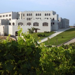 Винена дегустация в Шато Бургозоне за двама - наслада за сетивата