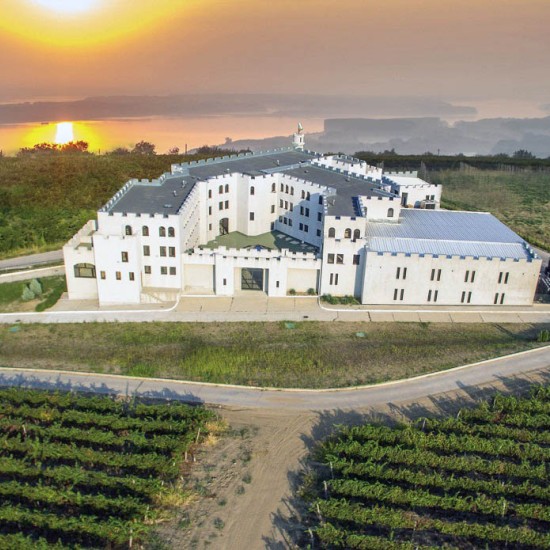 Винена дегустация в Шато Бургозоне за двама - наслада за сетивата от Makaroon