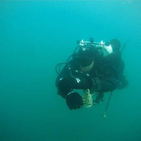 Водолазно гмуркане Scuba Discovery в Созопол от Makaroon