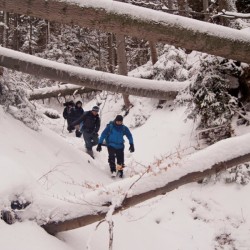 Двудневни курсове по оцеляване в природата