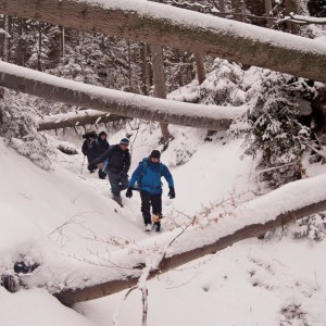 Двудневни курсове по оцеляване в природата