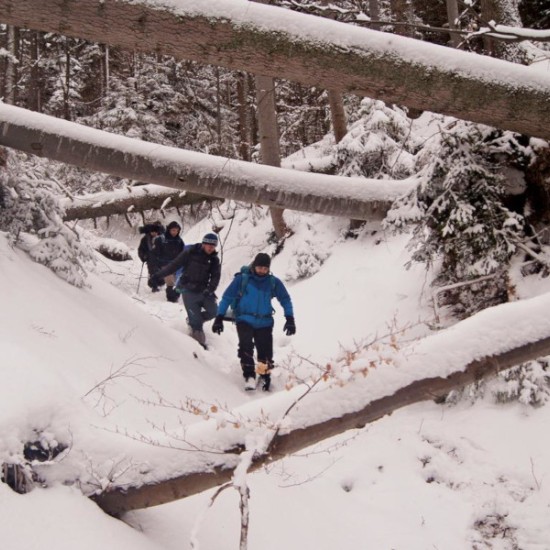 Интересно и полезно: Двудневни курсове по оцеляване в природата от Makaroon
