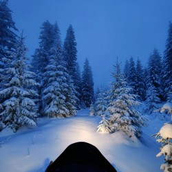 Подари екстремно нощно каране на моторна шейна за един човек в района на Южна Витоша