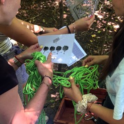 Forest Quest приключенска игра за 5 човека на Витоша планина!