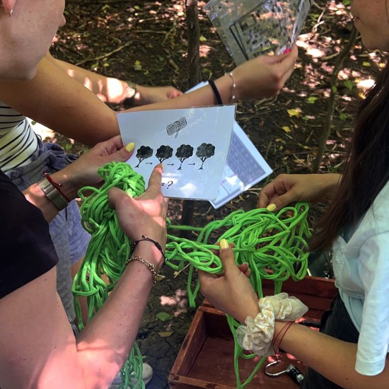 Forest Quest приключенска игра на Витоша планина от Макароон