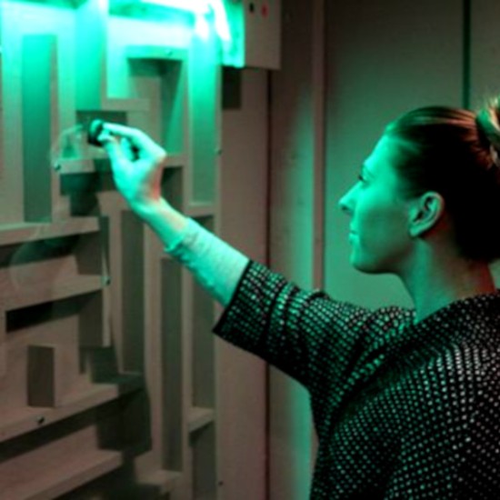 Колекционерът: Ескейп руум в жива реалност - игра за двама от Makaroon Колекционерът: Ескейп руум в жива реалност - игра за двама от Makaroon