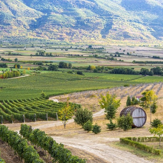 Изживейте едно необикновено преживяване с офроуд с АТВ и пикник за двама в Пловдив от Makaroon Изживейте едно необикновено преживяване с офроуд с АТВ и пикник за двама в Пловдив от Makaroon