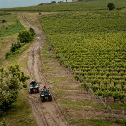 Офроуд приключение: 2 часа тур с АТВ висок клас за един човек край с. Устина, Пловдив