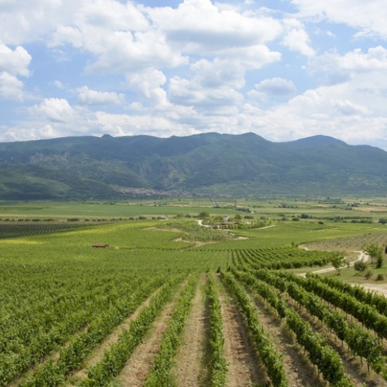 Съчетайте полезното с приятното с Разходка с електрически велосипед под наем + пикник за двама в Пловдив от Makaroon