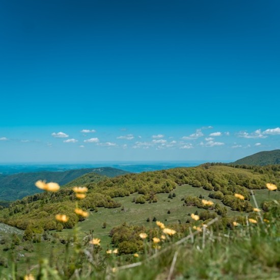 Опознайте красотата на околностите на Велико Търново с разходка с круизен мотор Suzuki Boulevard M109R от Makaroon