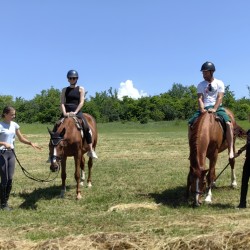Романтичен пикник и конна езда за двама около Велико Търново Романтичен пикник и конна езда за двама около Велико Търново