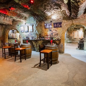 Вход за музея на виното в гр. Мелник с включена дегустация на 5 вида вино и една ракия