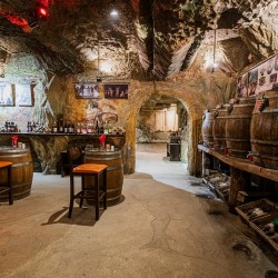 Вход за музея на виното в гр. Мелник с включена дегустация на 5 вида вино и една ракия