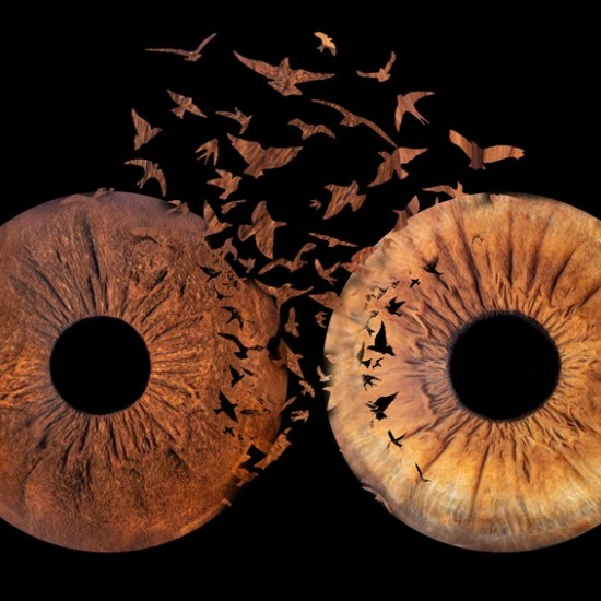 A piece of the soul in a picture with Irisova Photography in Pleven from Makaroon